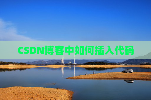 CSDN博客中如何插入代码
